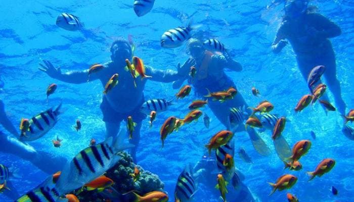 Sharm El Sheikh - World-Class Diving Destination