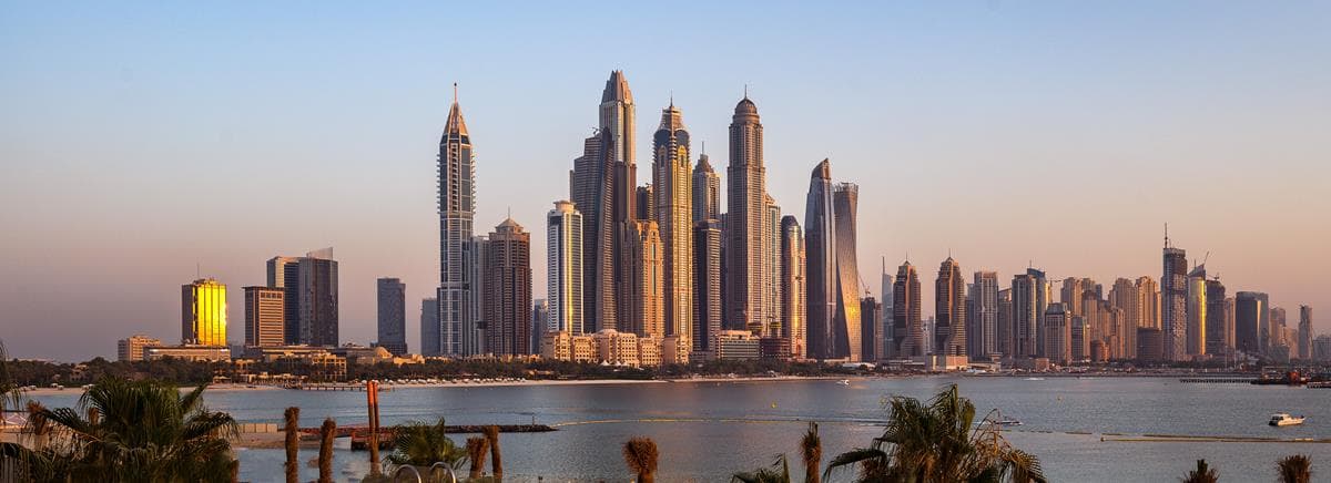 Dubai Company Ownership